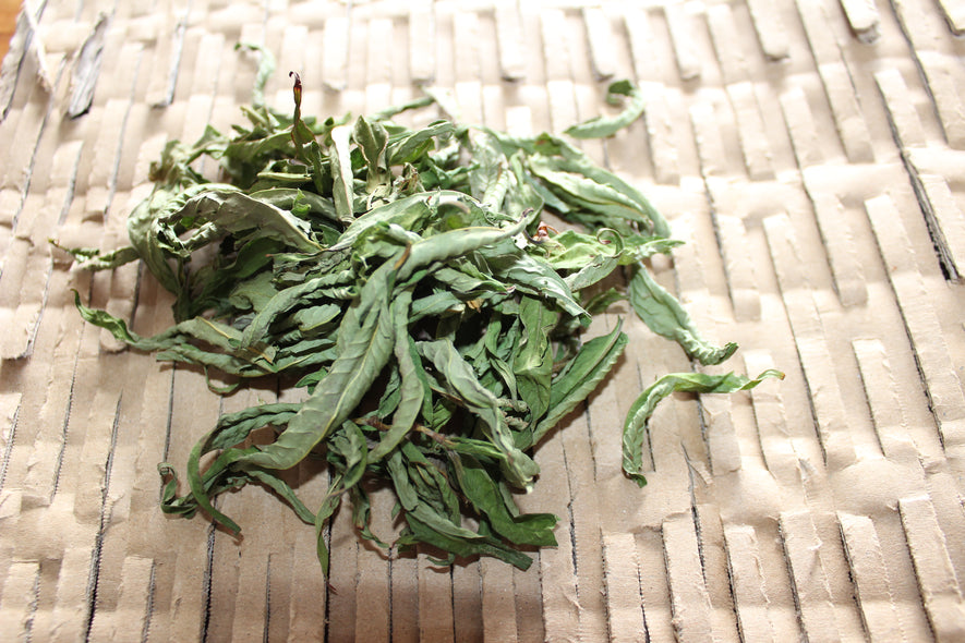 Dried Vietnamese Mint