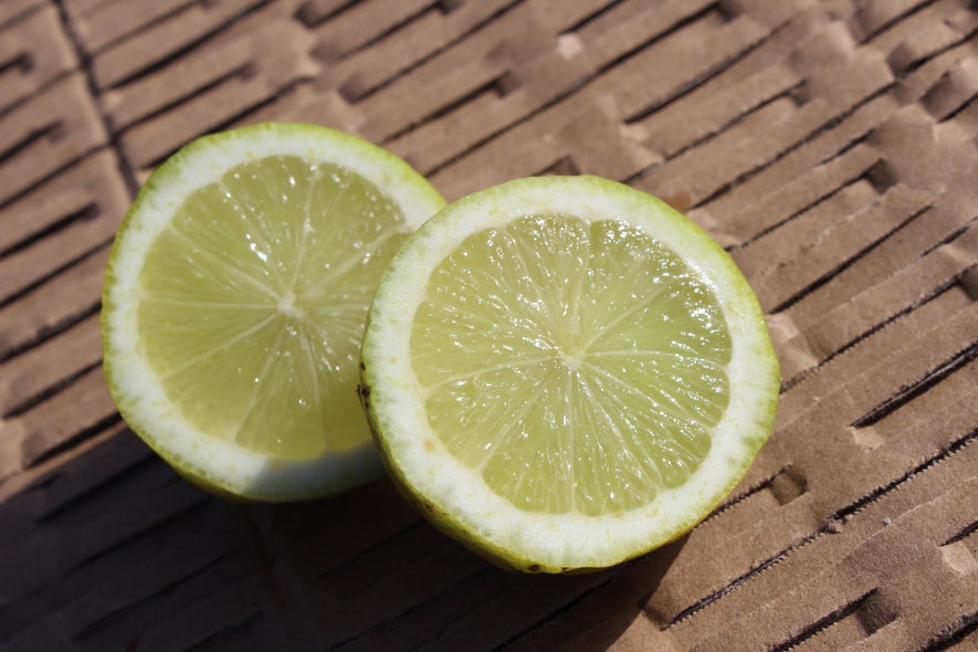 Limes