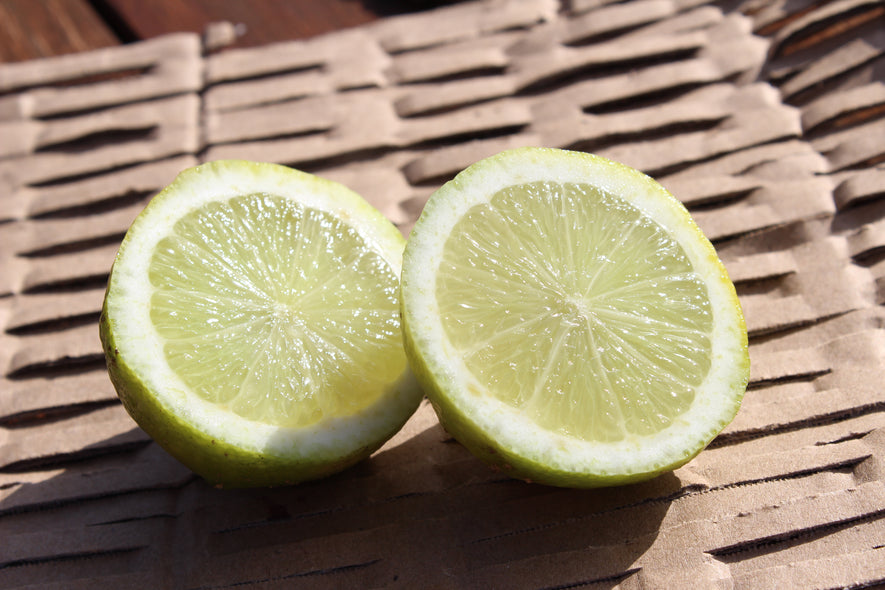 Limes